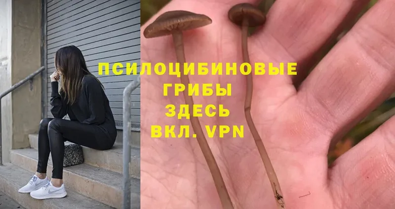 Псилоцибиновые грибы Magic Shrooms  Джанкой 